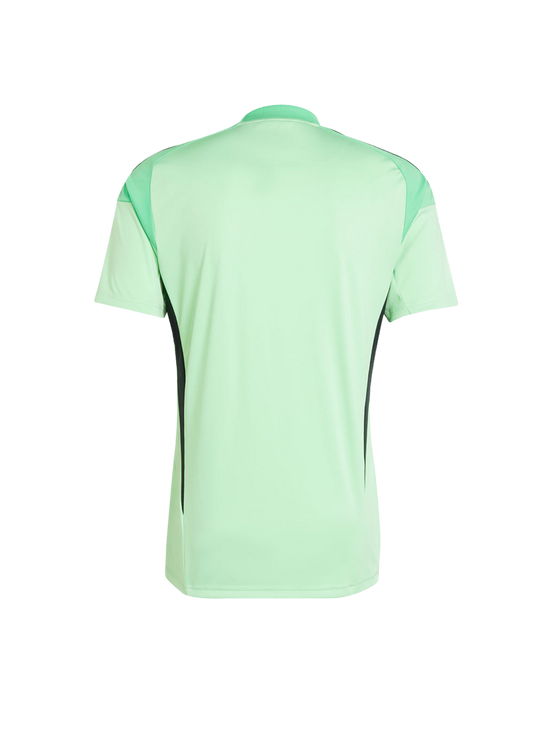 Adidas Adult HCFC 2025 Short Sleeve Goalkeeper Jersey - Green