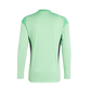 Adidas Youth HCFC 2025 Long Sleeve Goalkeeper Jersey - Green